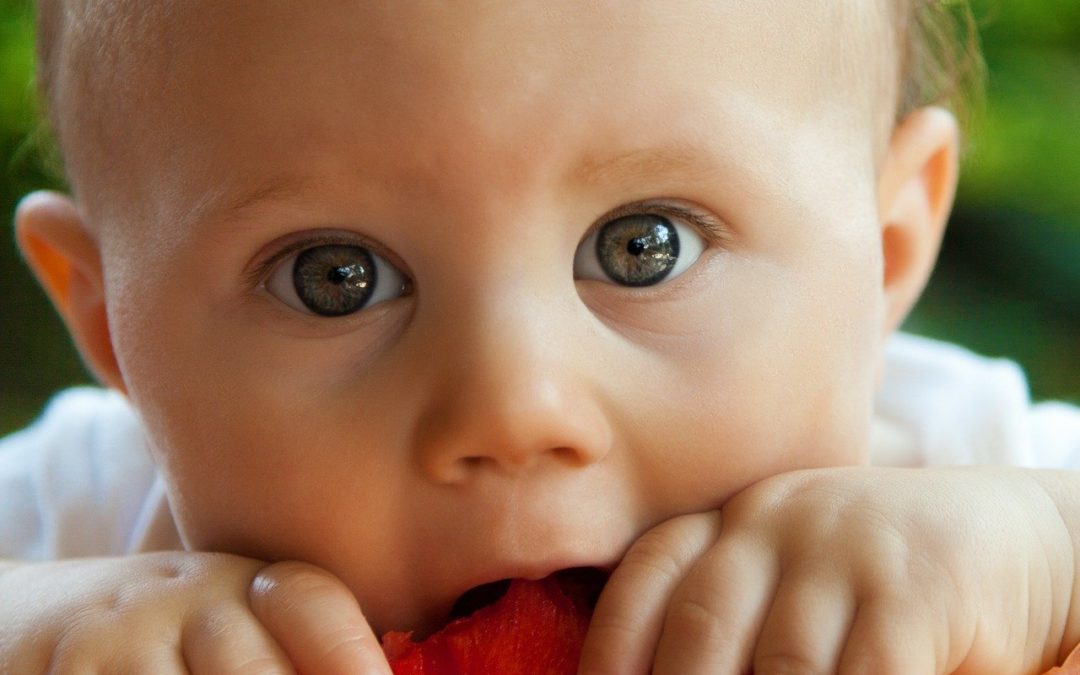 Baby Led Weaning