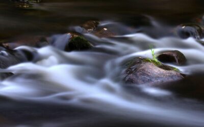 The Fluidity of Becoming: From Fertility to Postpartum